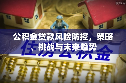 鲁山公积金贷款风险防控，策略、挑战与未来趋势