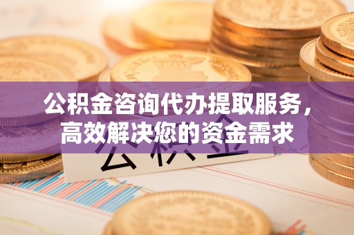 鲁山公积金咨询代办提取服务，高效解决您的资金需求