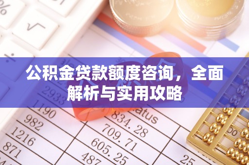 鲁山公积金贷款额度咨询，全面解析与实用攻略
