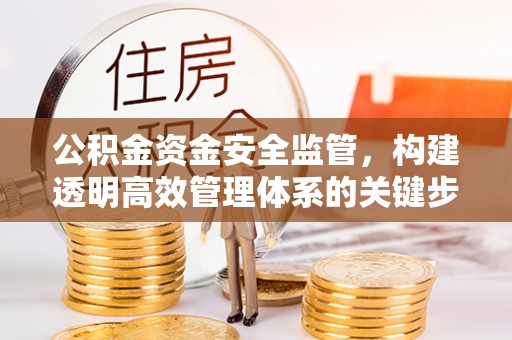 鲁山公积金资金安全监管，构建透明高效管理体系的关键步骤