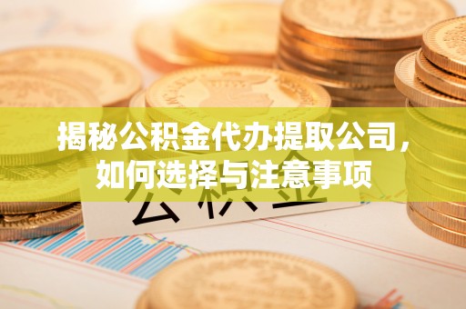 鲁山揭秘公积金代办提取公司，如何选择与注意事项