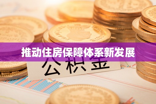 鲁山推动住房保障体系新发展