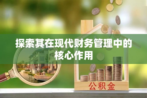 鲁山探索其在现代财务管理中的核心作用
