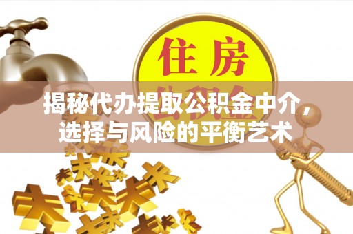 鲁山揭秘代办提取公积金中介，选择与风险的平衡艺术