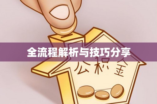 鲁山全流程解析与技巧分享